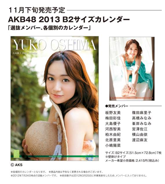 AKB48 2013 Ｂ２サイズカレンダー