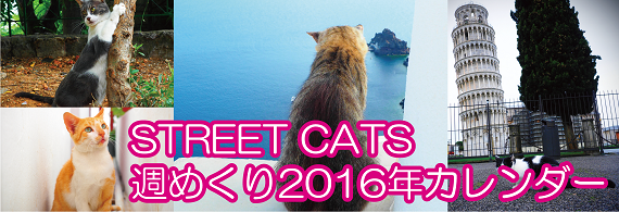 street cat2016年カレンダー